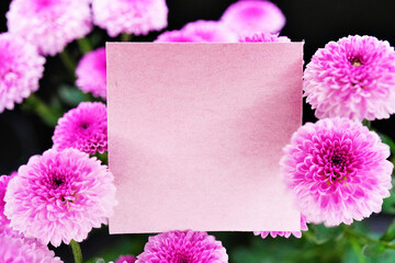 ブラックバックにピンク色の丸い菊の花に囲まれたタイトルカードのシンプルなモックアップ