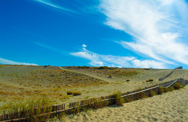 中田島砂丘の堆砂垣と青空