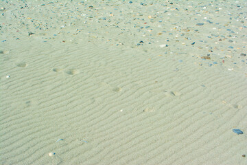 中田島砂丘の風紋と犬の足跡