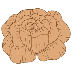 Rose flower line vintage. Vector illustration with flower theme. Suitable for wedding invitation, aesthetic decoration, social media post, banner, promotion, advertising, etc.