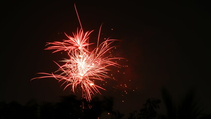 Fire crackers bursting in the air during Diwali