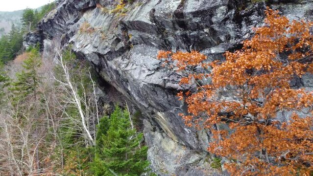 Overhanging Rocky Cliff on Hillside with Pine Tree Forest in the Background with Light Snow in Mount Washington State Park, New Hampshire, USA