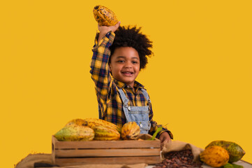 Portrait of happy African child boy farmer with afro hairstyle standing smiling and holding fresh cacao fruit on hand isolated on yellow background.