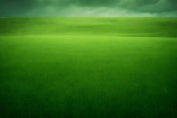 minimal grassland