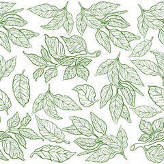 Green tea leaves seamless pattern background. Vector illustration. Hand drawn sketch.