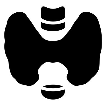 Thyroid gland