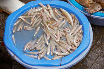 Fresh fish at traditional market