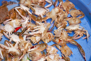 Fresh seafood at traditional market