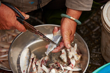 Close up of hands cutting fish