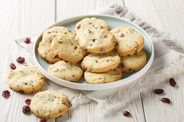 Dry cranberry and orange zest cookies close-up in a plate on the table. Horizontal