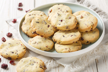 buttery cranberry orange shortbread cookies closeup on the plate on the wooden table. Horizontal