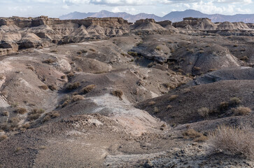 Yadan Landform in Xinjiang, China