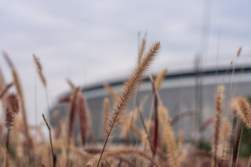 The main venue of the Chengdu Universiade