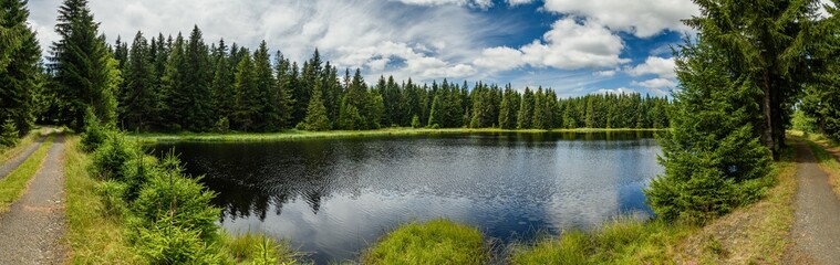 panorama mountain lake in the forest