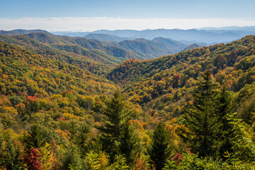 Fototapeta premium The Great Smoky Mountains National Park