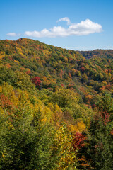 Fototapeta premium The Great Smoky Mountains National Park