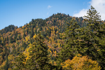 Fototapeta na wymiar The Great Smoky Mountains National Park