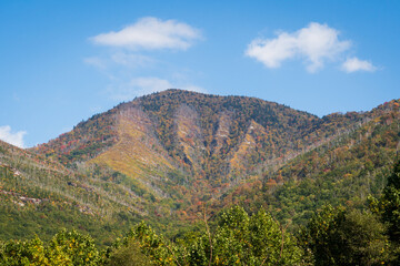 A Autumn Mountain at the Great Smoky Mountains National Park