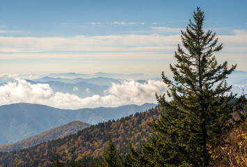 The Great Smoky Mountains National Park