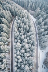 Aerial view from above, drone white winter forest with road.