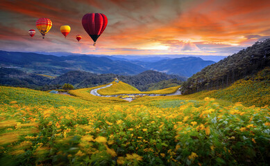 Hot air balloons flying over Tung Bua Tong Mexican sunflower forest park at sunset sky, Mae Hong Son Province Thailand. Colorful Air Balloon over blooming Yellow Flower Field Landscape evening time