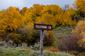 Sign indicating Telephone Creek in Idaho during fall