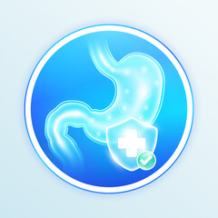 Health care stomach human internal organs. Medical symbol cross in blue shield and check mark in green button. Labels for design food and pharmaceutical business products. Vector EPS10.