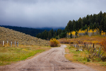 Dairy Creek Road near Beaver Creek Campground near Spencer, Idaho during fall