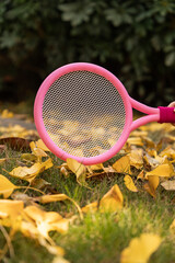 Yellow Ginkgo Leaves and Children's Racquets