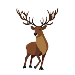 Reindeer or Rudolph Illustration for Christmas or Forest themes.