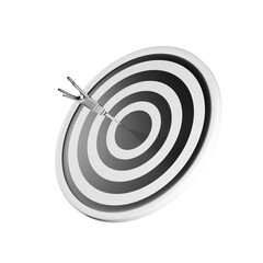 3d render of a target