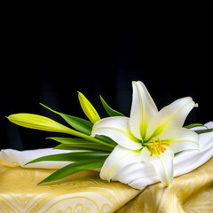 Fototapeta na wymiar White lily with pair of emerging buds upon richly patterned golden fabric against dark backdrop. Concept of funeral ceremony and farewell, symbol of pure remembrance. Copy space, square background