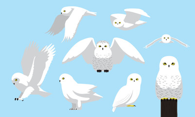 Snowy Owl Cute Bird Winter Flying Set Cartoon Vector