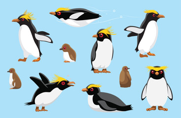 Macaroni Penguin Chick Cute Bird Winter Set Cartoon Vector