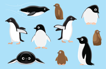 Adelie Penguin Chick Cute Bird Winter Set Cartoon Vector
