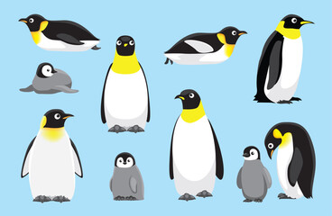 Emperor Penguin Chick Cute Bird Winter Set Cartoon Vector
