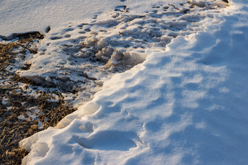 Snow accumulations on the ground have melted and frozen again