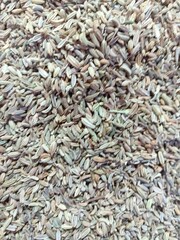 Shah Jeera, also known as “Caraway Seeds,” is a spice with a unique flavor profile. It is often confused with standard cumin seeds, but it has a distinct sweet and nutty taste.