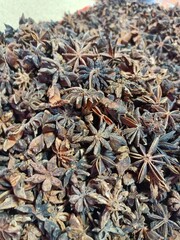 Star anise is a distinctive spice known for its star-shaped appearance and strong, licorice-like flavor