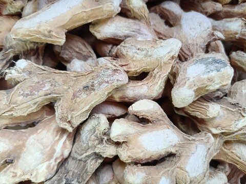 Dry ginger, also known as Sonth in Hindi, is a spice derived from fresh ginger that has undergone a drying process