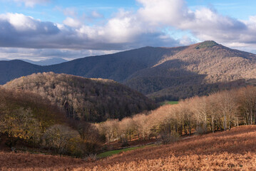 Señorio de Bertiz Natural Park. Bertiz-Arana, Navarra