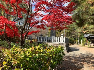 善光寺境内の景色