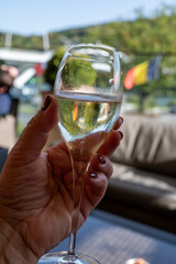 WIne tasting. Production of cremant sparkling wine in south part of Luxembourg country on bank of Moezel, also known as Mosel, Moselle or Musel river.