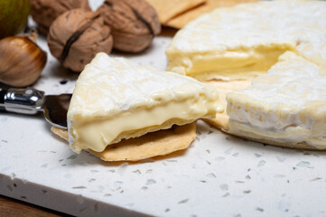 French soft Cremeux de Normandie cheese, soft creamy cheese with white mold