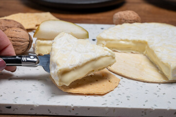 French soft Cremeux de Normandie cheese, soft creamy cheese with white mold