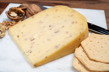 Piece of Dutch Gouda cheese made from cow milk with added walnuts close up