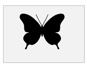 butterfly icon vector design art