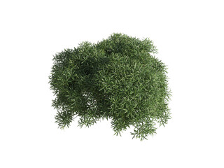 These images are used to decorate the house, replace or create a forest, hope you like them