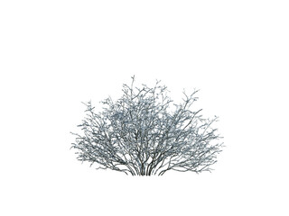 These images are used to decorate the house, replace or create a forest, hope you like them