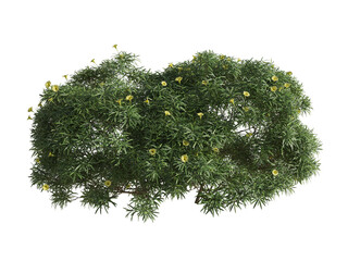 These images are used to decorate the house, replace or create a forest, hope you like them